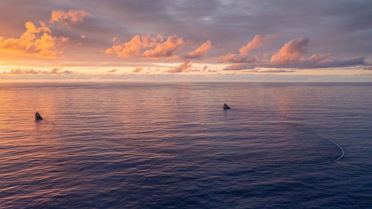 environmental charity, save oceans, donate to ocean conservation, donate to save the ocean, ocean conservancy donation, donate to the ocean, oceana,How to help clean the ocean, How to clean the oceans sustainably, Best ways to help save oceans