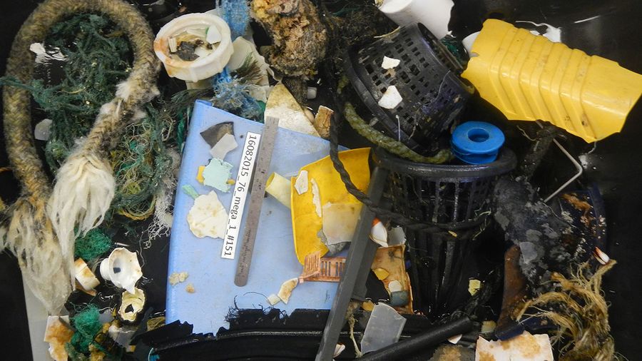 #02 - Results of an hour of sampling with the Mega Trawl **Photo credits: The Ocean Cleanup**, Great Pacific Garbage Patch, ocean plastic pollution, save oceans, help clean oceans,